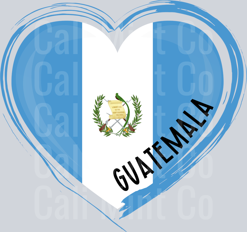GUATEMALA- BOSTONIA COUNTRY SHIRTS