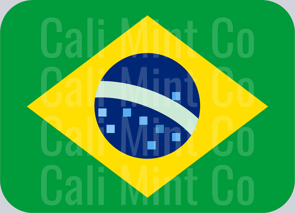 BRAZIL - BOSTONIA COUNTRY SHIRT
