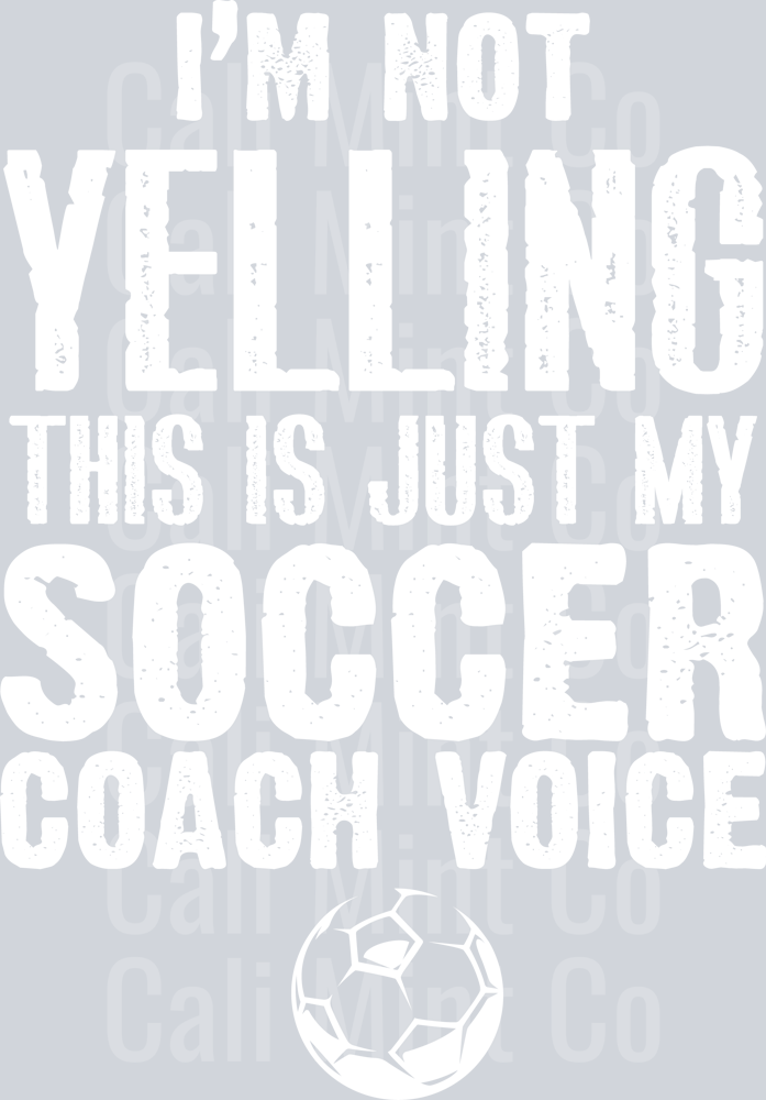 SOCCER COACH DTF