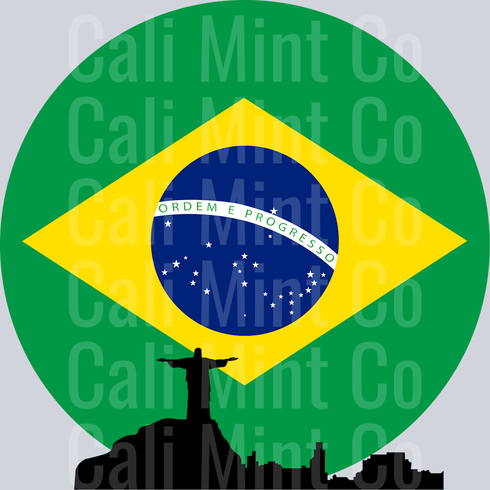 BRAZIL - BOSTONIA COUNTRY SHIRT
