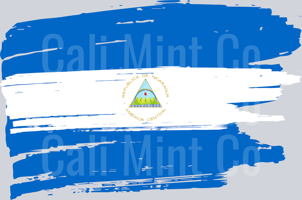 NICARAGUA- BOSTONIA COUNTRY SHIRT