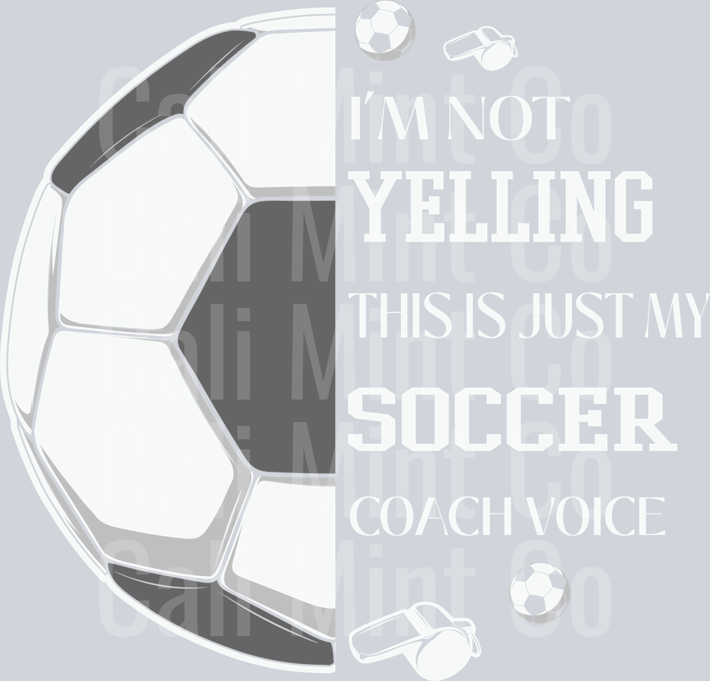 SOCCER COACH DTF